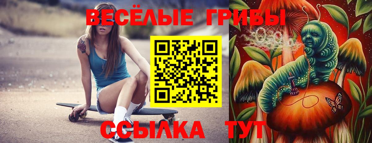 Псилоцибиновые грибы мухоморы Гай